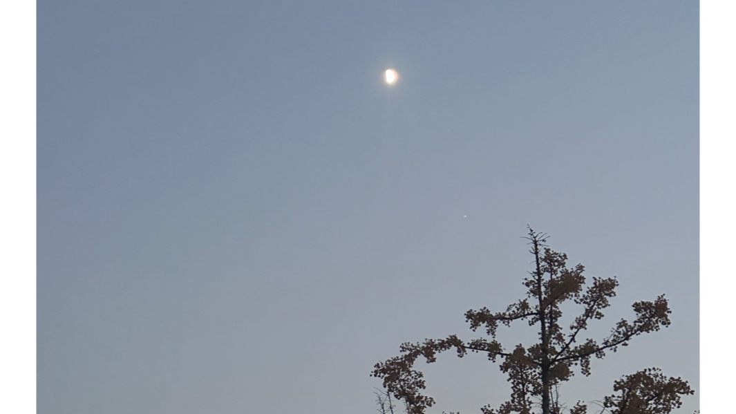 今晚不播哦～铁子们不要跑空哈,咱们周一见～不要太想我呦