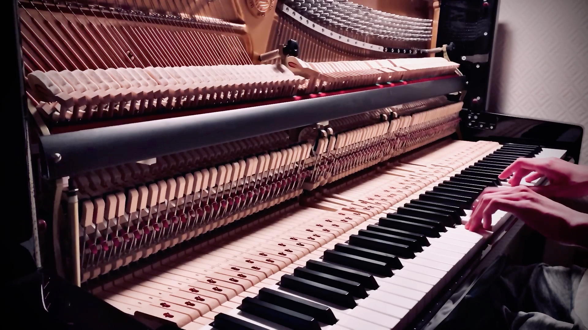 tsmmusic studio#【钢琴】《不老梦》