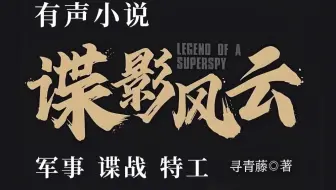 有声书《谍影风云》by懒人，军事谍战特工热血爽文