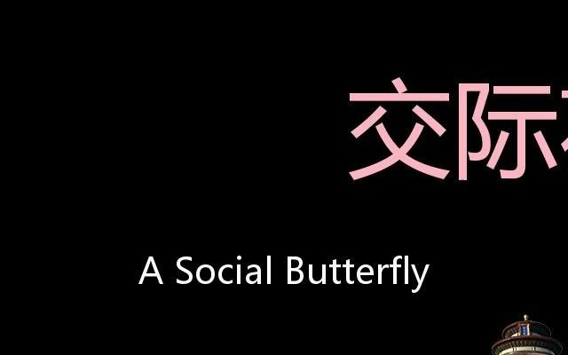 交际花 Chinese Pronunciation A social butterfly哔哩哔哩bilibili