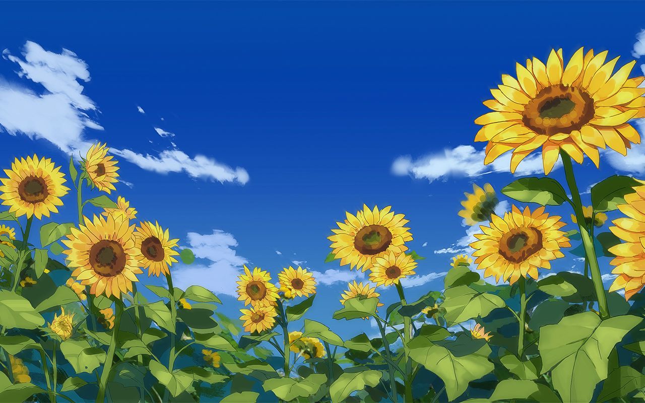 【山德鲁】向日葵开花警告
