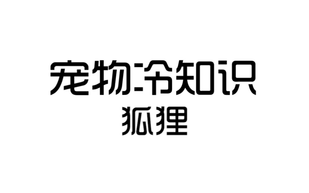 [图]狐狸的爱情故事你羡慕吗？