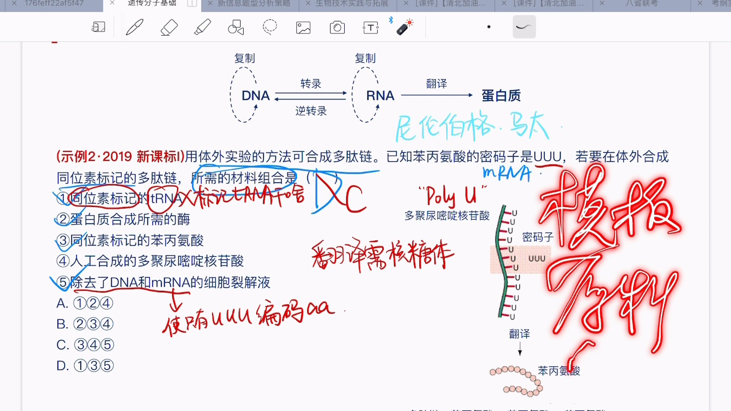 遗传分子基础,二轮知识体系构建哔哩哔哩bilibili