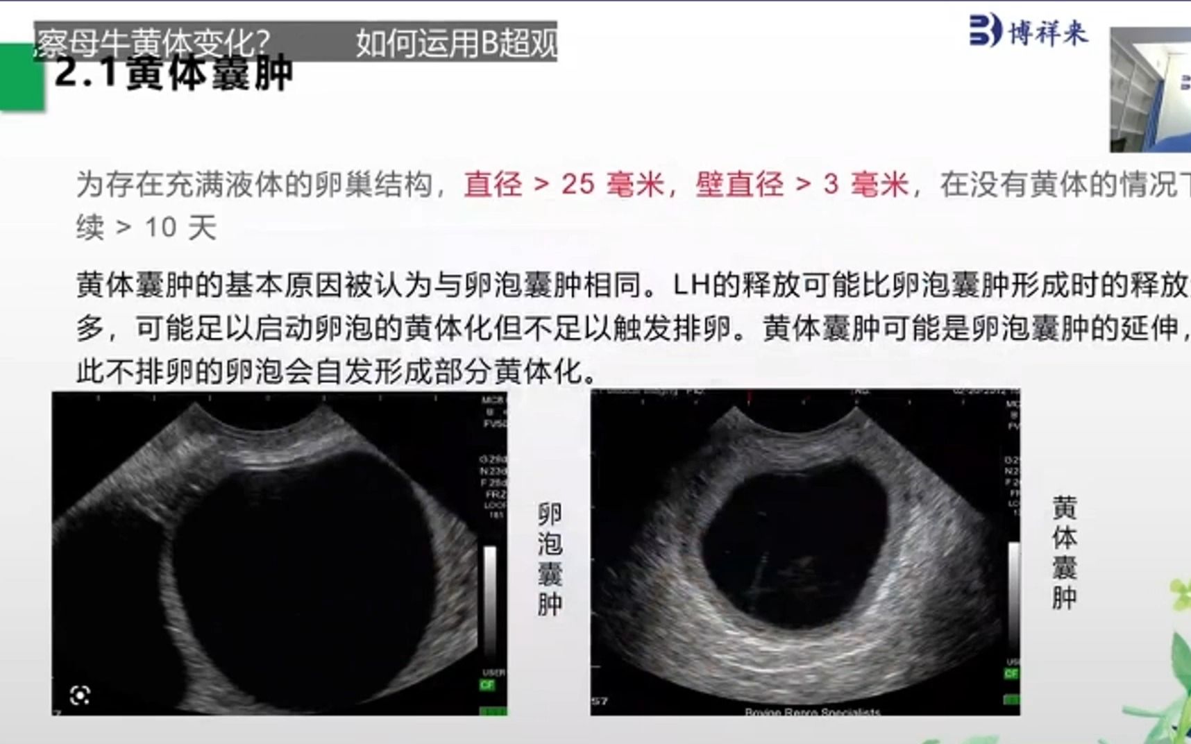 你知道母牛卵泡囊肿和黄体囊肿超声影像有什么区别,如何区分?
