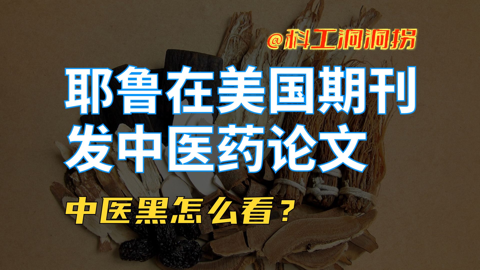 【耳朵保卫战】中药过不了双盲,发不了国际期刊?会查论文吗?哔哩哔哩bilibili