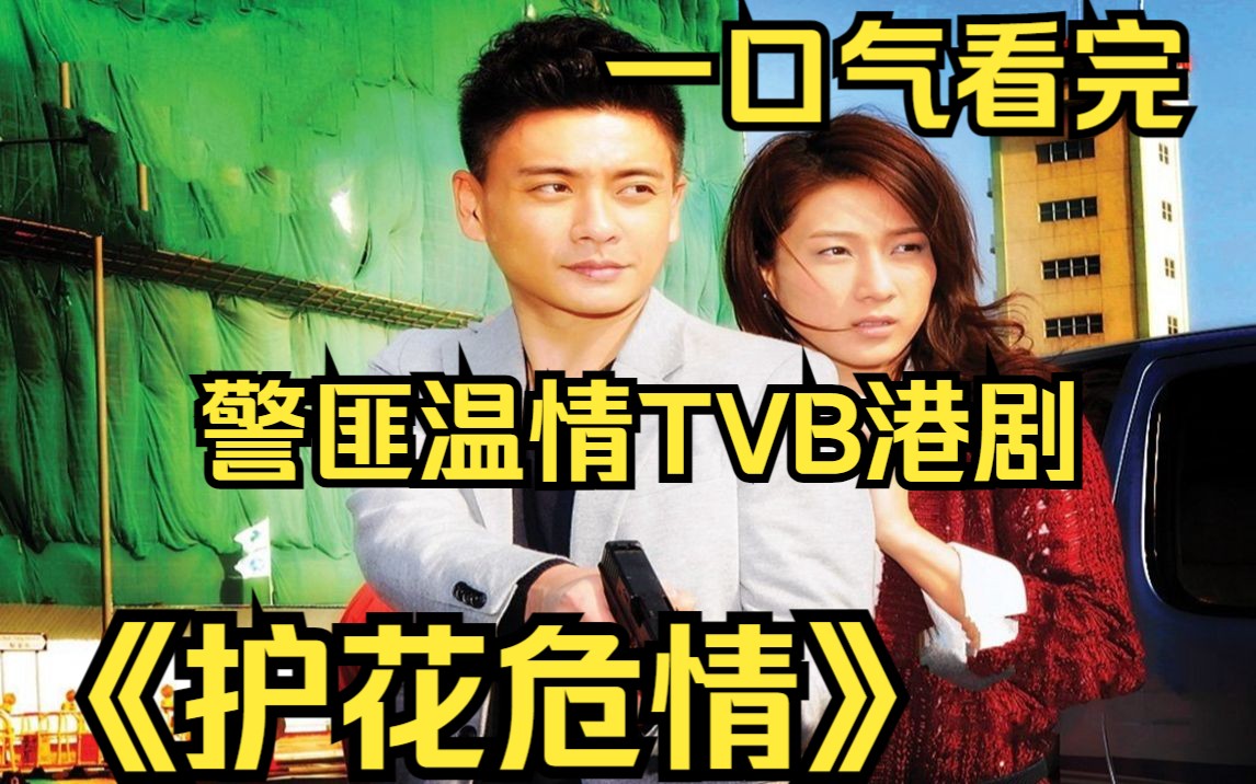 一口气看完警匪温情TVB港剧【护花危情】保护证人组督察奉命保护患有情绪病的富家千金,从此两个南辕北辙的人交织一起!哔哩哔哩bilibili