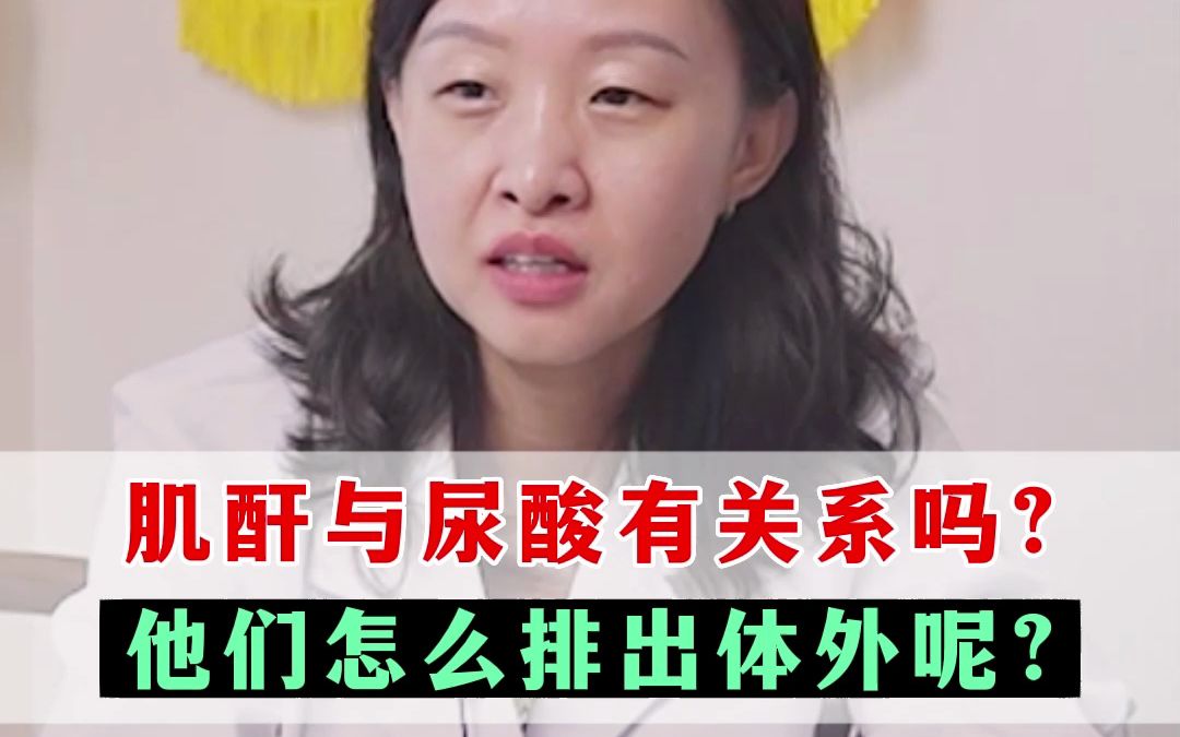 肌酐与尿酸有关系吗?他们怎么排出体外呢?哔哩哔哩bilibili