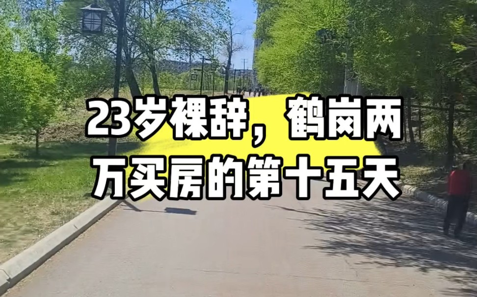 23岁裸辞,鹤岗两万买房的第十五天哔哩哔哩bilibili