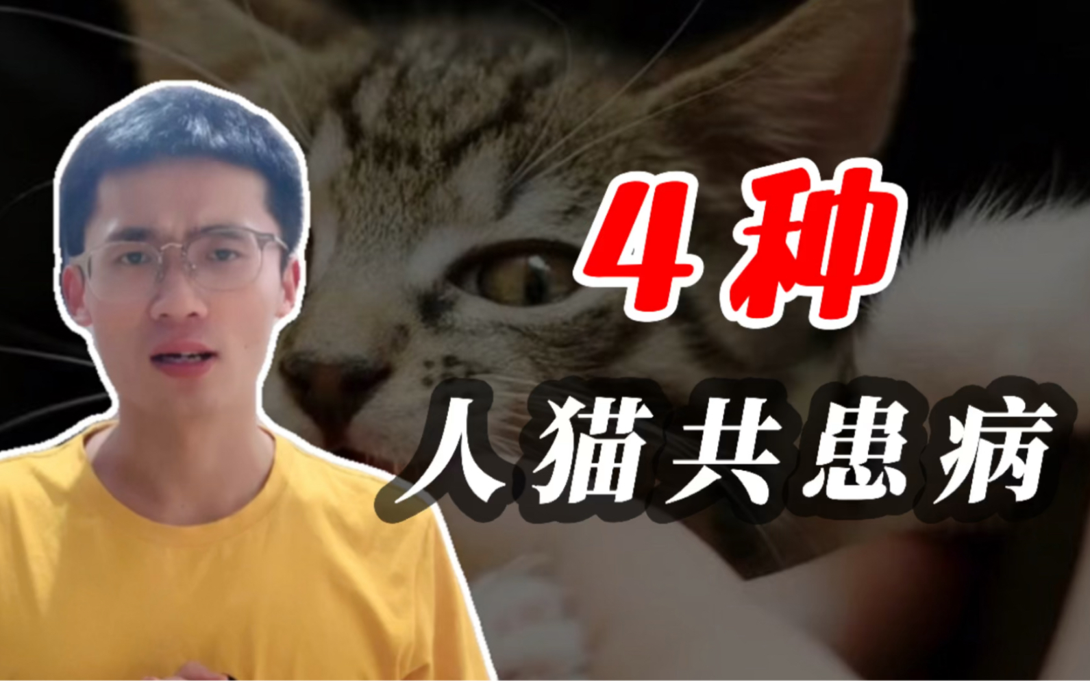 4种猫咪会传染给人的病,你了解吗?哔哩哔哩bilibili