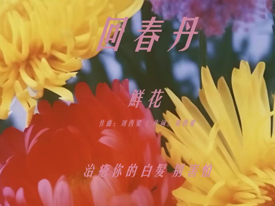 鮮花 - 回春丹 young drug