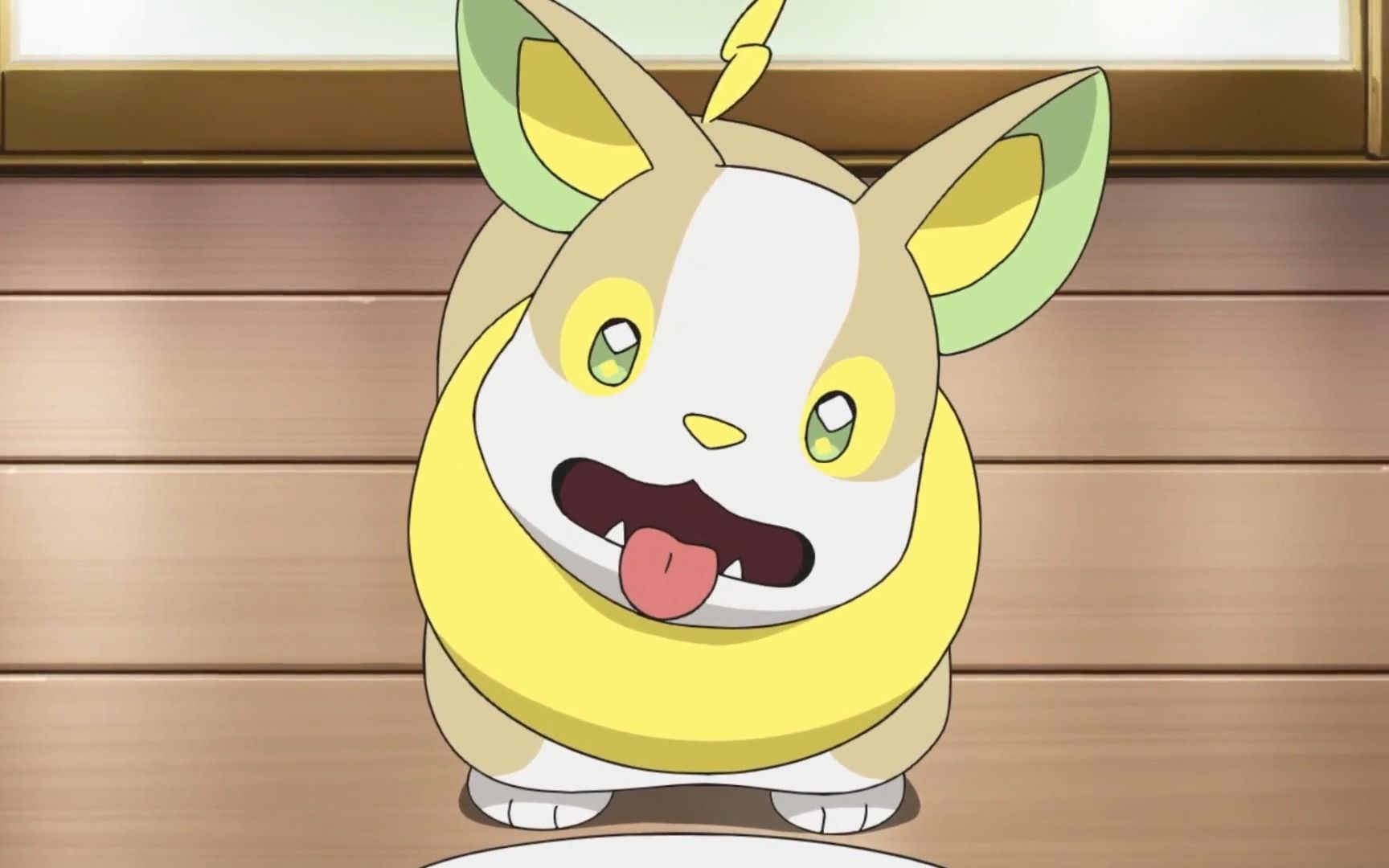 可爱修狗来电汪 汪汪汪