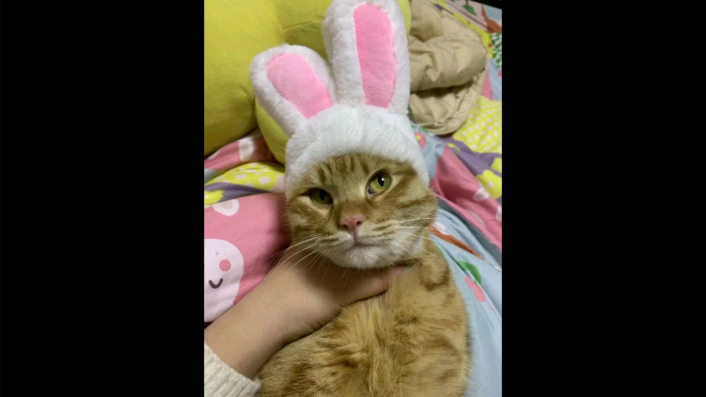 [脱单doge][脱单doge][脱单doge][脱单doge][脱单doge][脱单doge]