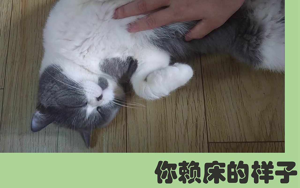 活动作品你赖床的样子