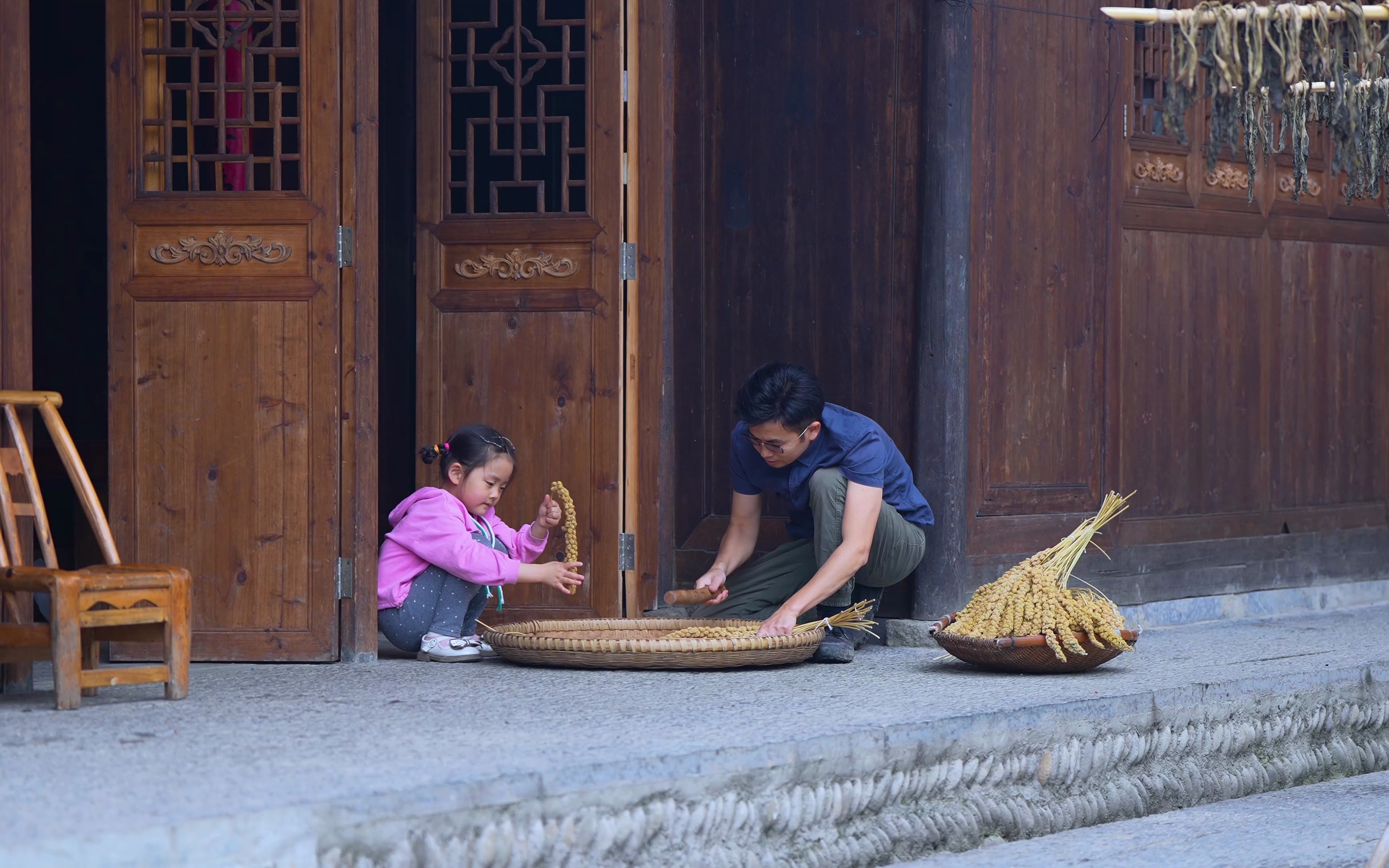 带小贝感受耕种时的艰辛、劳累、不易;生长时的坚韧;收获时的喜悦、满足、成就.愿秋天时的小米穗沉甸甸.哔哩哔哩bilibili