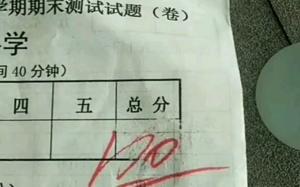 [图]小学生:没想到吧，我考了一百！