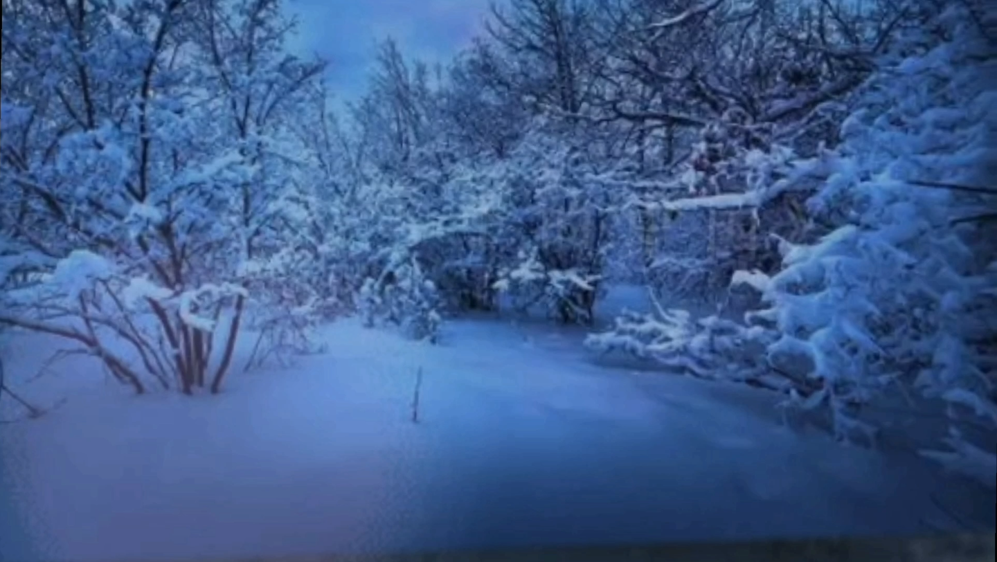 [图]诵读《大雪中的中国》作者欧震