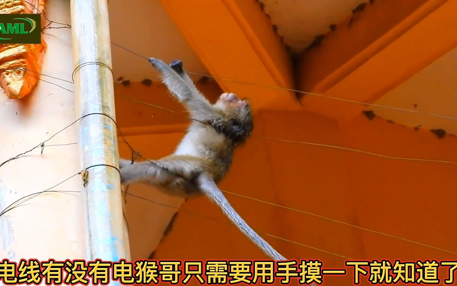 电工猴哥专业修电线十几年了,有没有电摸一下就知道了.