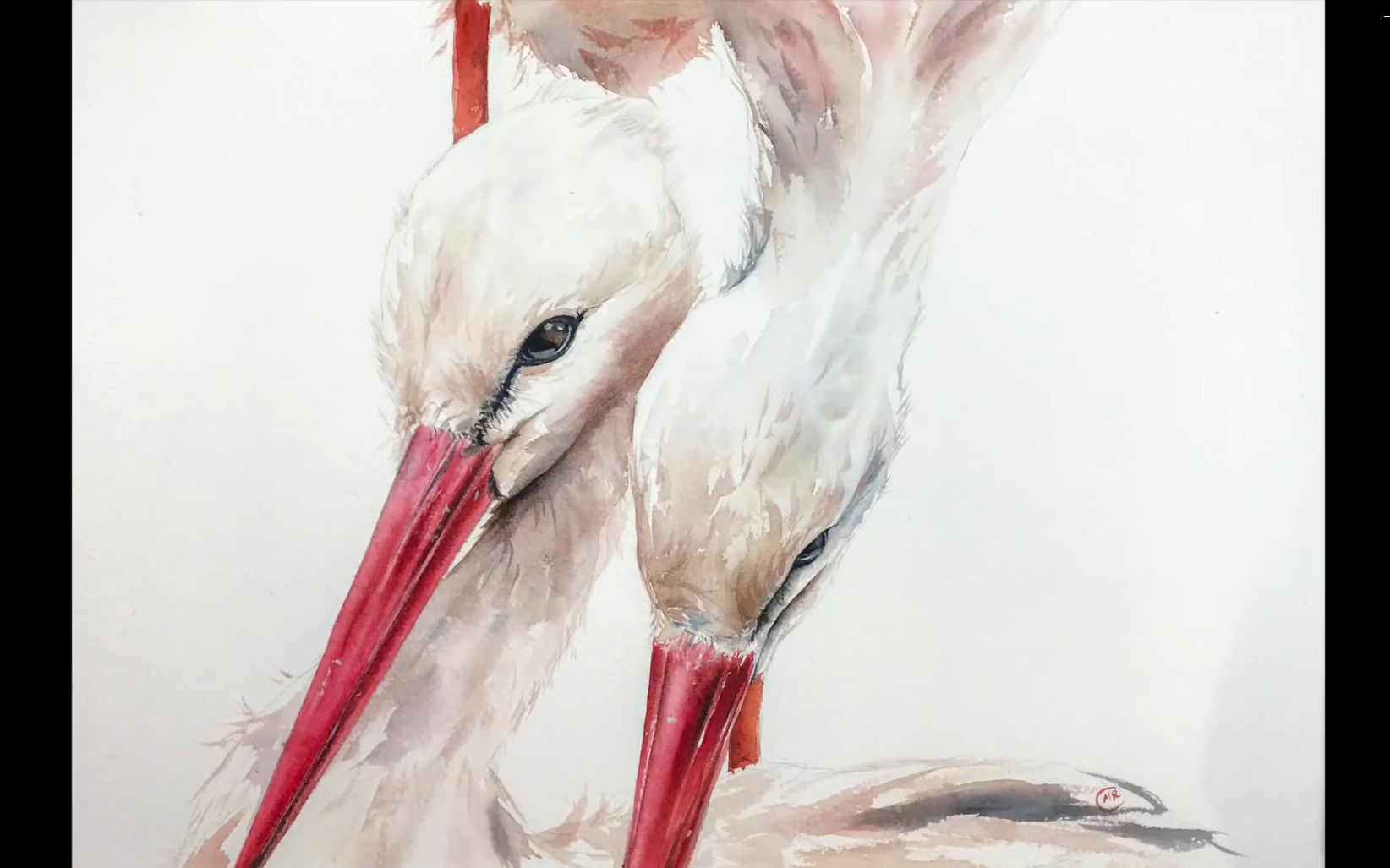 [图]【水彩】Maria Raczynska-Storks in Watercolor Painting WHITE FEATHERS 鹳