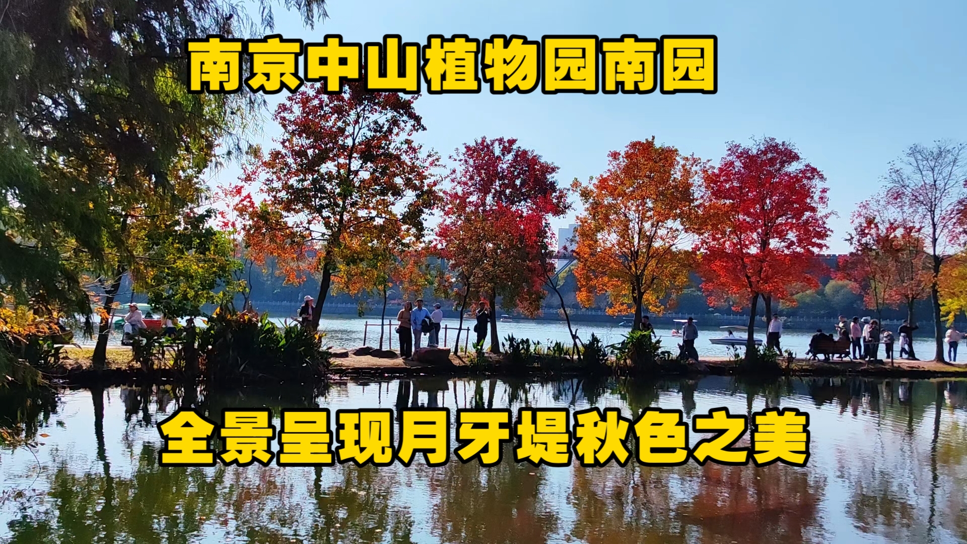 南京中山植物园南园全景呈现月牙堤,秋色盛宴来袭邀您一起来赏哔哩哔哩bilibili