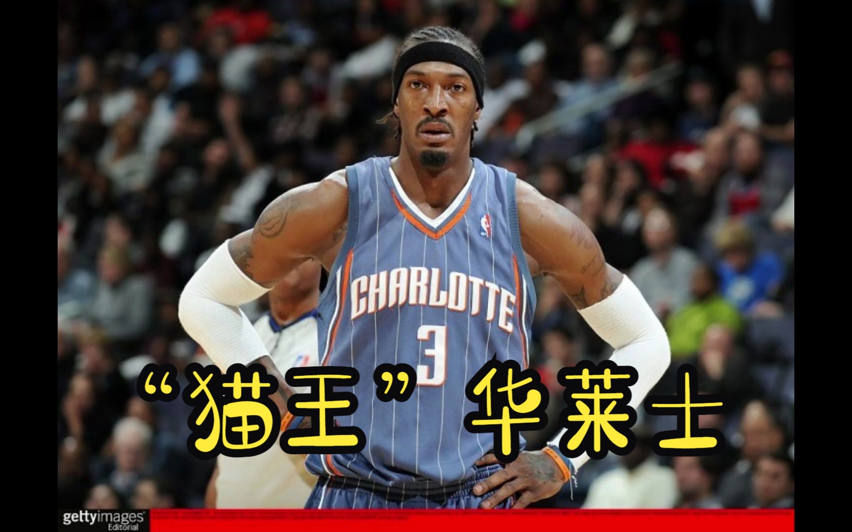 【究极马赛克】nba2k23 mc模式球星建模还原——"猫王"杰拉德华莱士