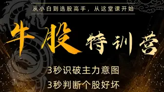 《牛股特训营》从小白到选股高手【全29集】