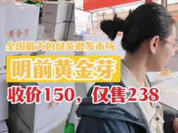 Download Video: 今天市场上的黄金芽便宜又好喝，小栖收下600斤给大家做口粮茶，斤价只要238，还是明前茶！