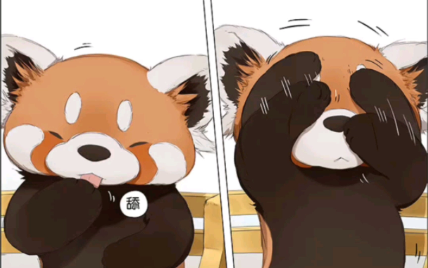 《请叫我小熊猫》阿闷aman tx动漫