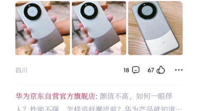 mate60pro开售后,京东商城评论区现状,“遥遥领先”的一星评价哔哩哔哩bilibili