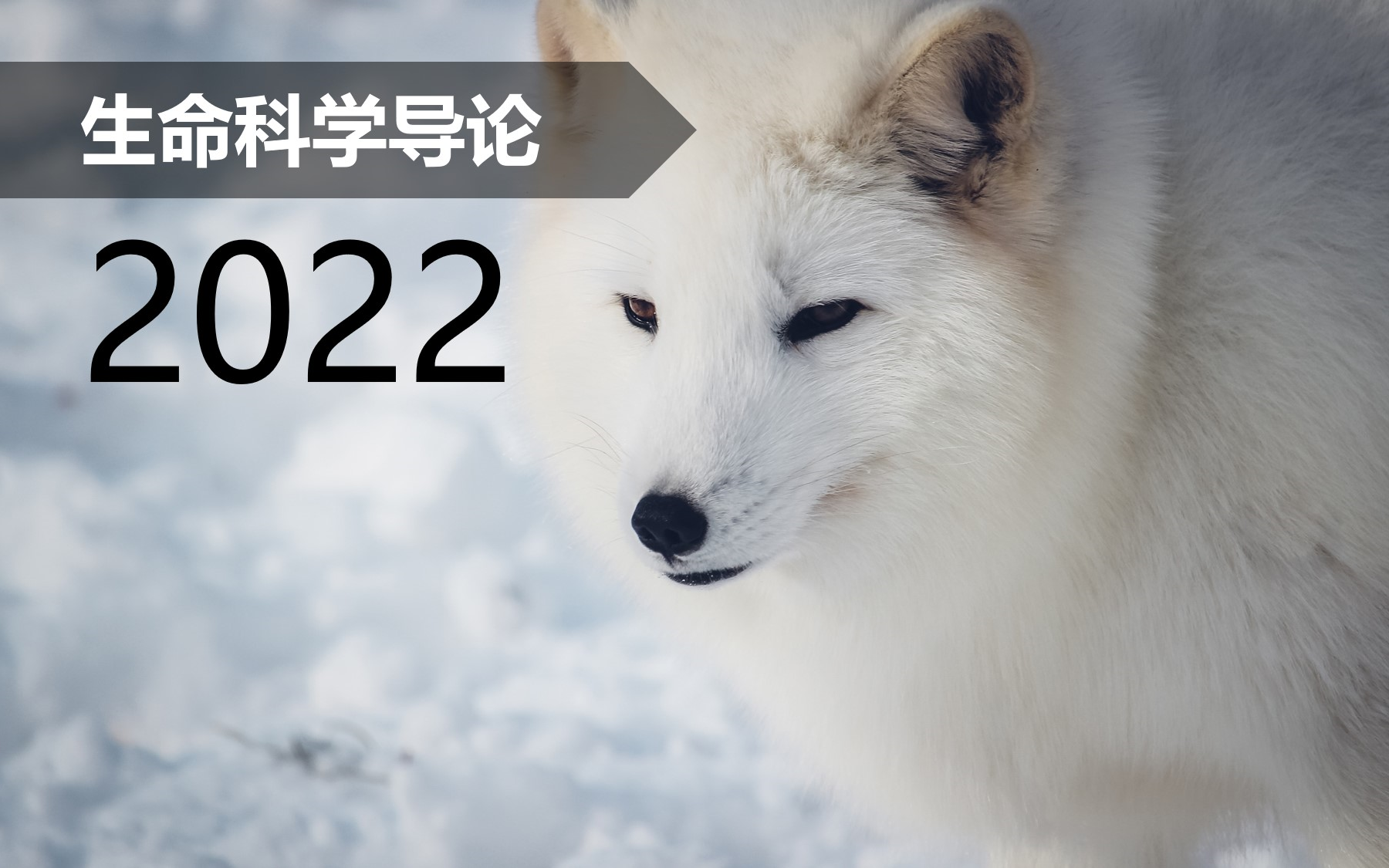 [图]【普生】生命科学导论 2022