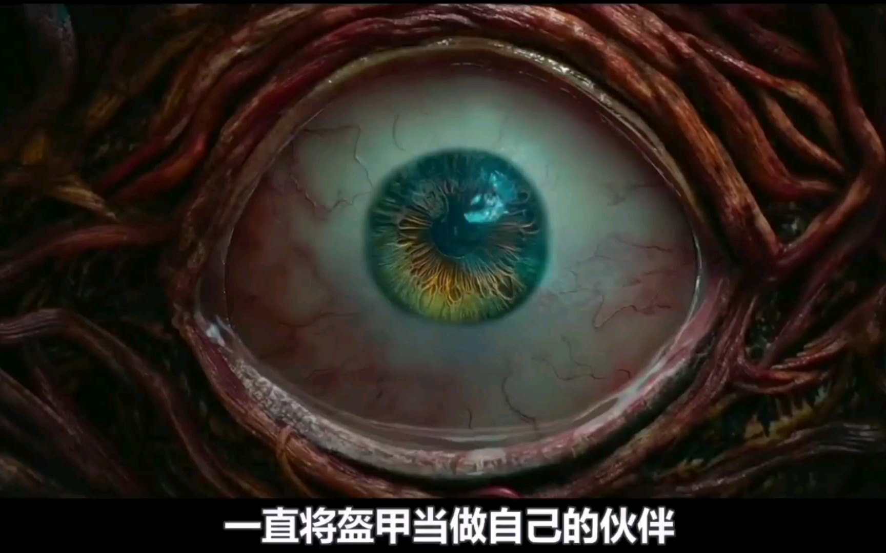 小伙意外获得会说话的铠甲，从此走向开挂人生. 《刺杀小说家》