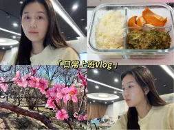 Download Video: 打工人日常上班Vlog52