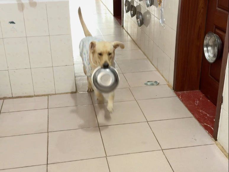 今天开饭一波三折