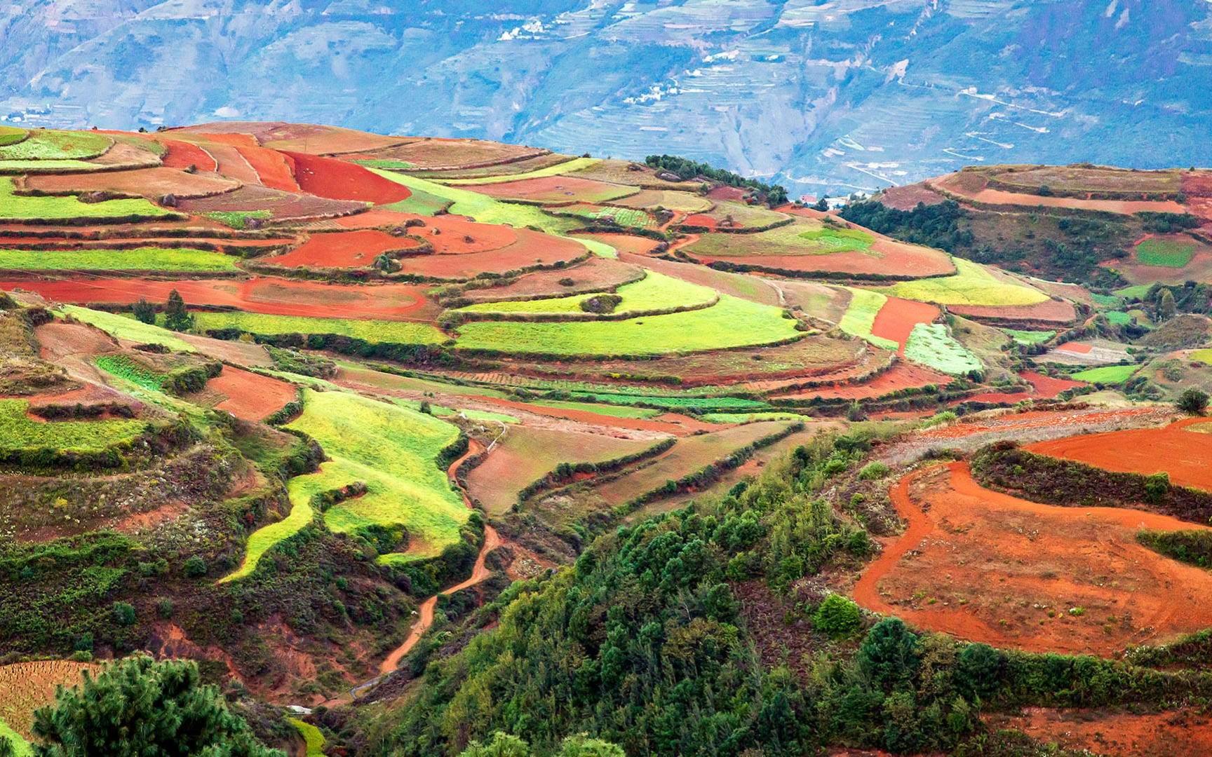 红土地的独特魅力 | 中国云南省东川区起伏的丘陵和红土(08 suchart