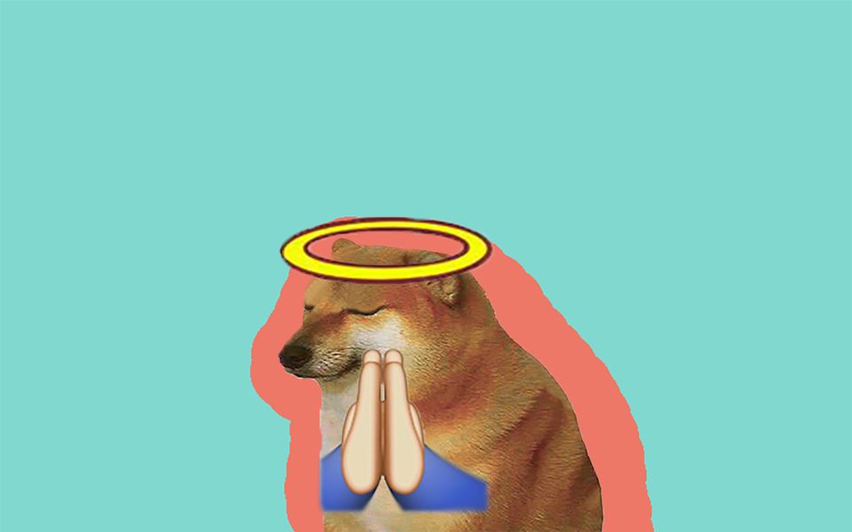 在travis演唱会摔倒后来到了xxx的演唱会的cheems_哔哩哔哩_bilibili