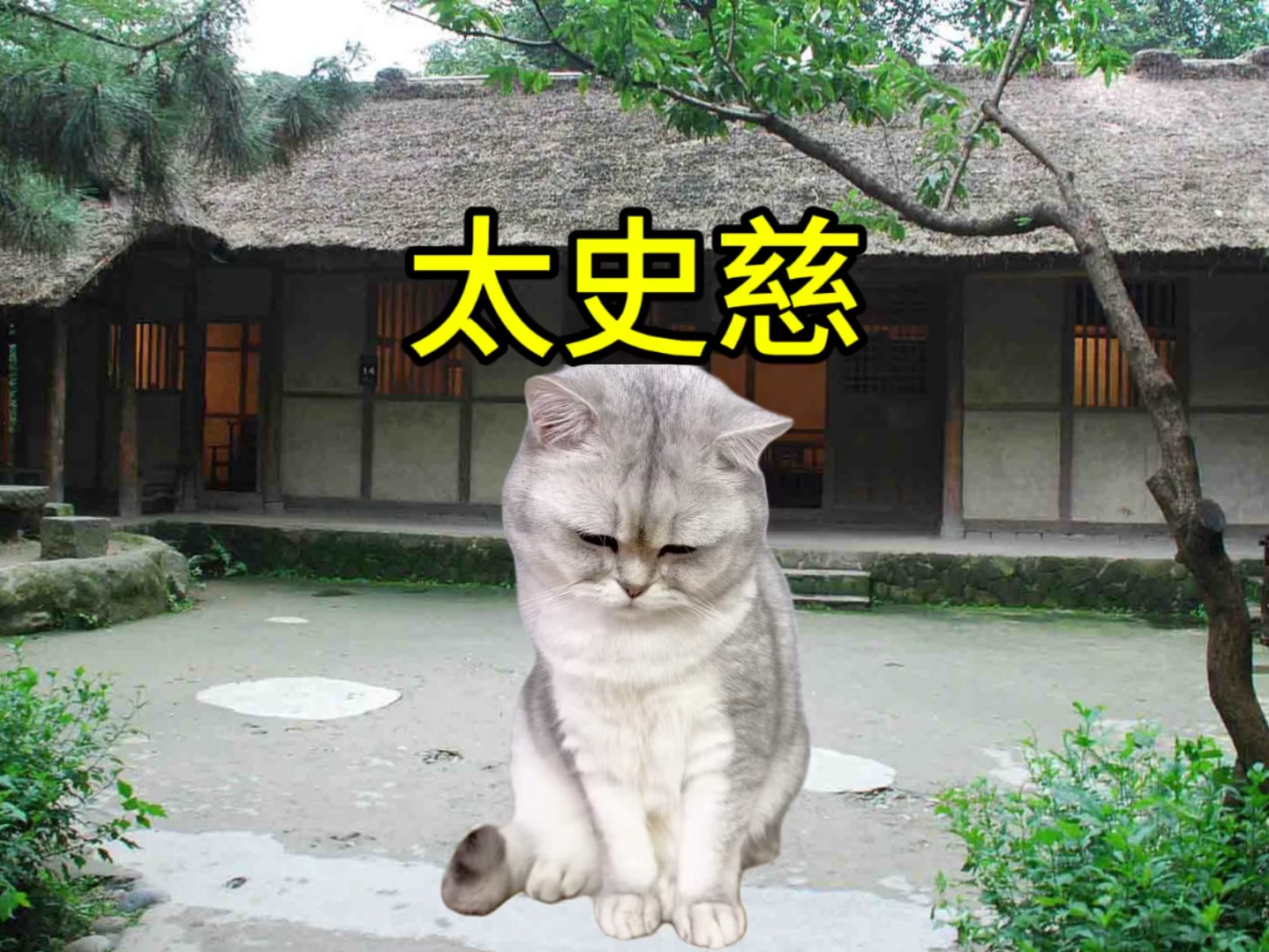 [图]猫meme说三国：太史慈的一生