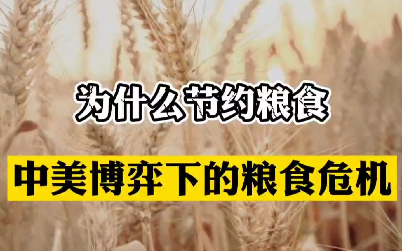 为什么要节约粮食?中美博弈下如何应对粮食危机将决定经济话语权哔哩哔哩bilibili