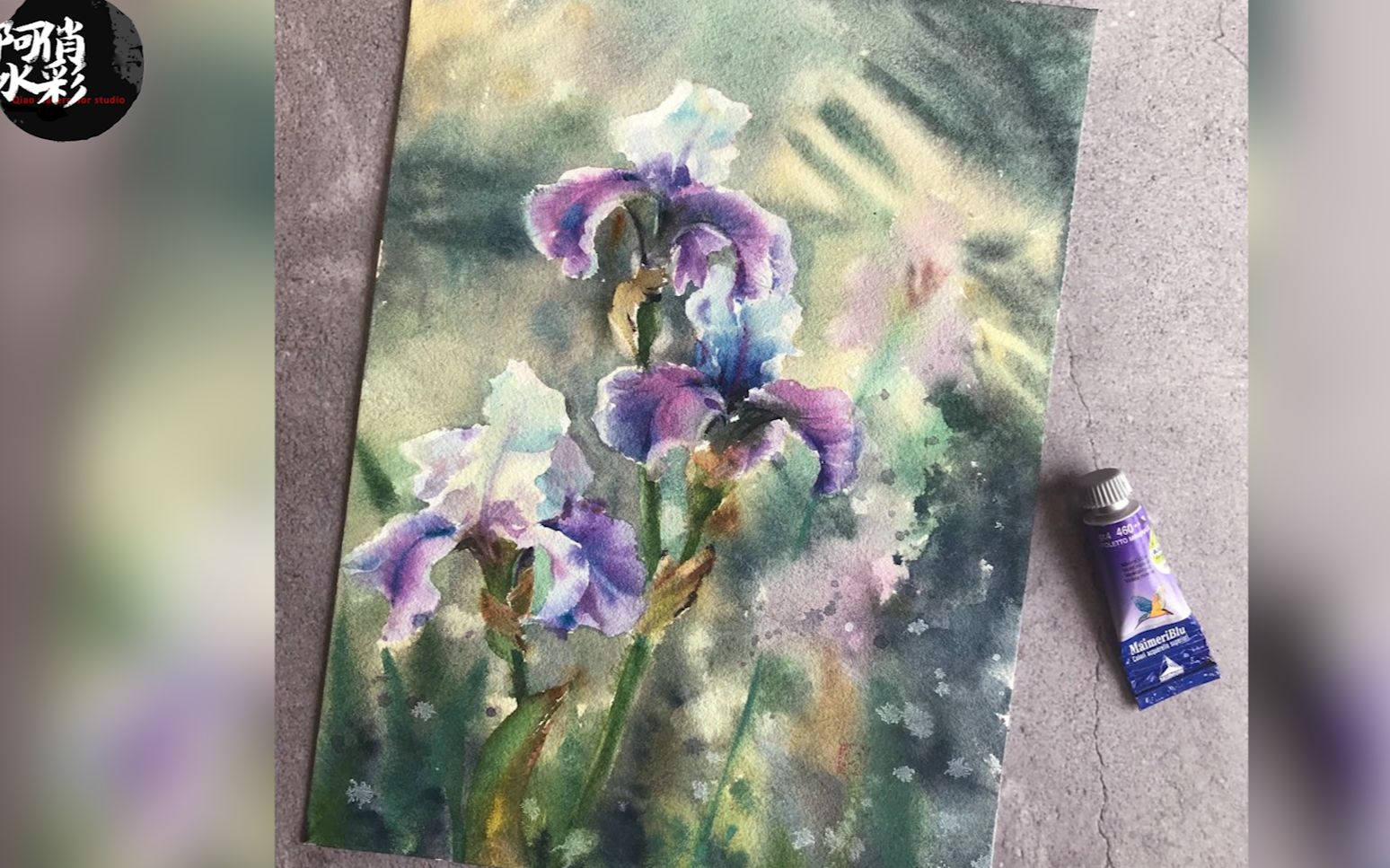 阿俏水彩视频教程——《鸢尾花》鸢尾花的花瓣画法,还有背景的湿画法