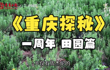 [图]《重庆探秘》一岁啦！（二）田园篇