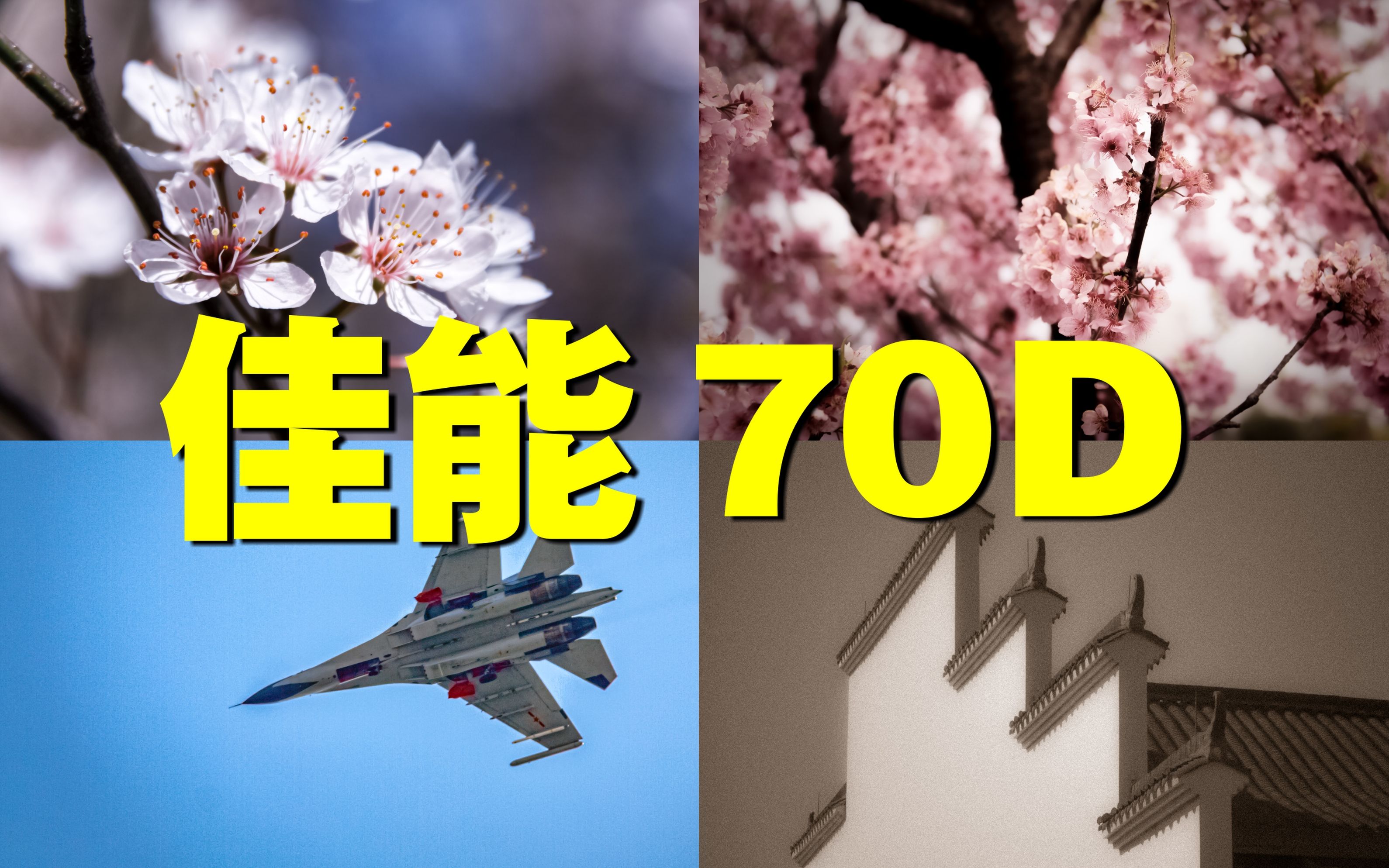 「八年前的中端单反相机」能拍出什么样的照片? 佳能70D样片|佳能EOS 70D哔哩哔哩bilibili