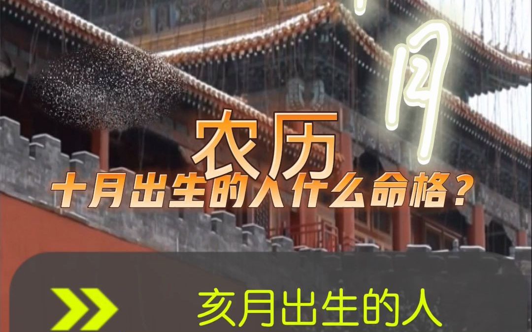 亥月,农历10月出生怎么样呢?哔哩哔哩bilibili