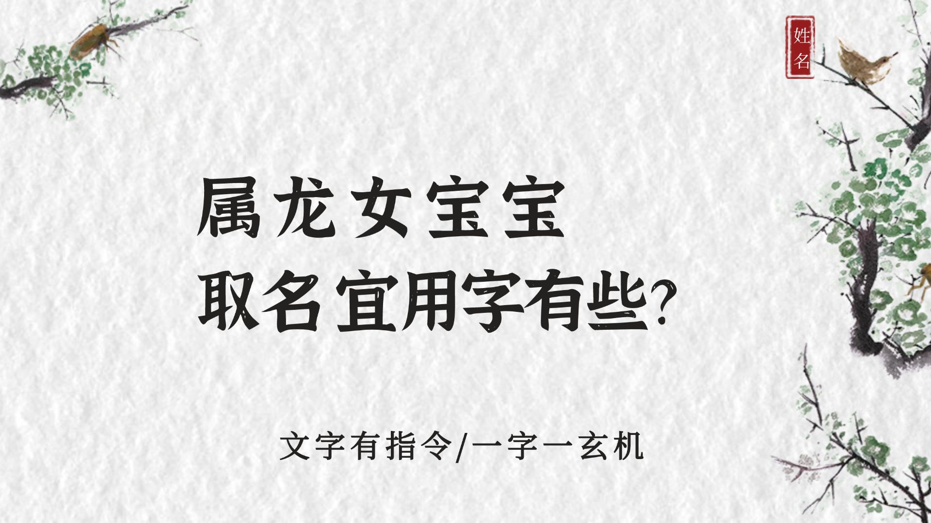 冠全派起名:属龙女宝宝起名宜用字有哪些?哔哩哔哩bilibili