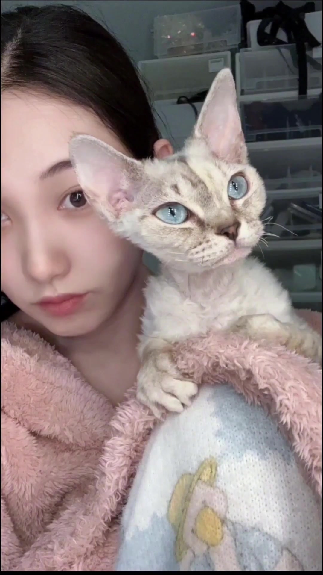 【snh48-刘洁】直播唱歌cut 20230201