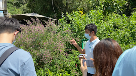 小黎的field trip日记之凤园蝴蝶保育区