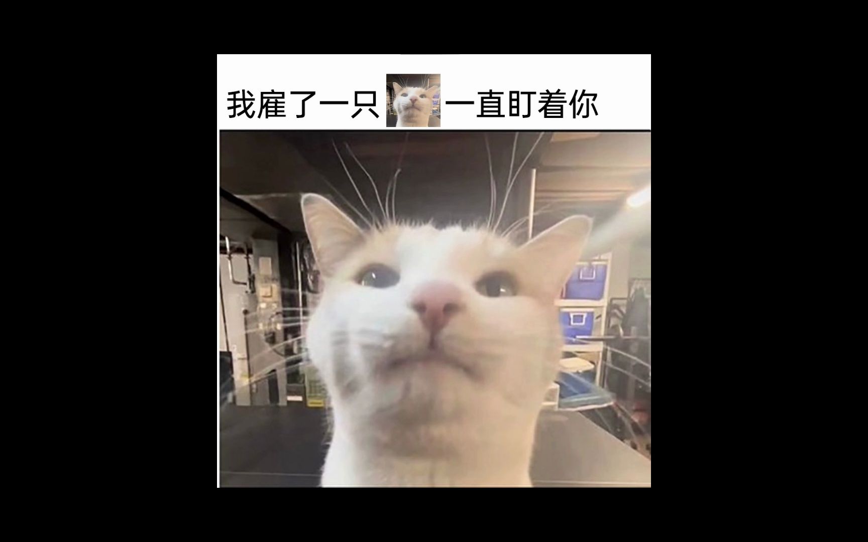 那些内容过于真实的沙雕梗图19