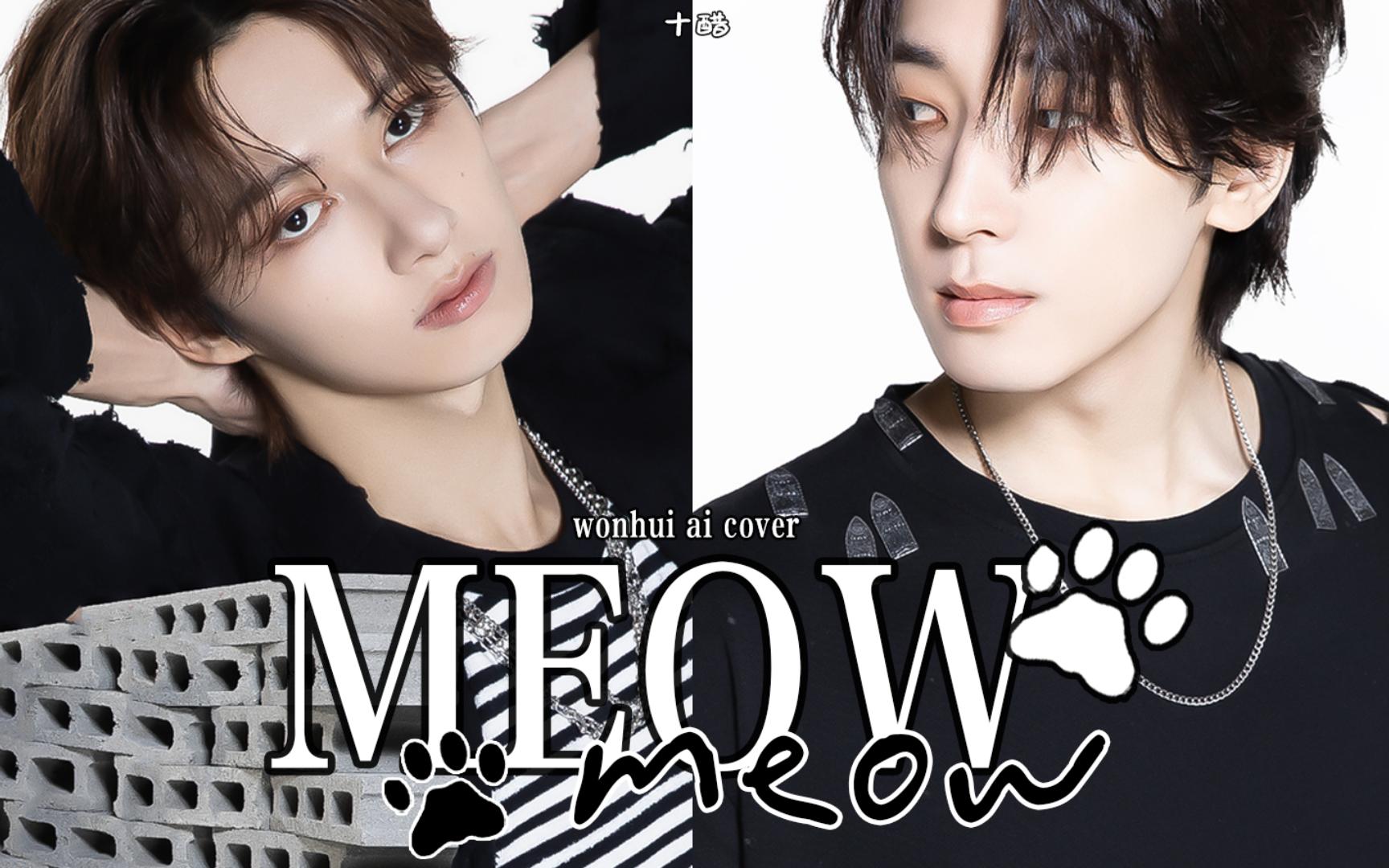 【佑灰AI】MEOW(原唱:MEOVV)| 就这个猫猫夫夫爽!哔哩哔哩bilibili