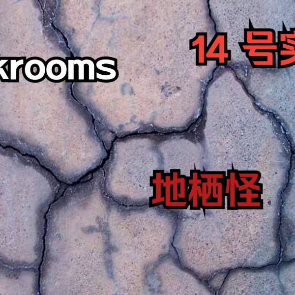 Backrooms]Level 34 下水道系统后室系列_哔哩哔哩_bilibili