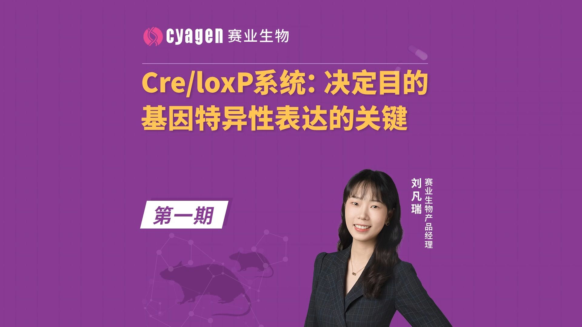 CreloxP系统:决定目的基因特异性表达的关键哔哩哔哩bilibili