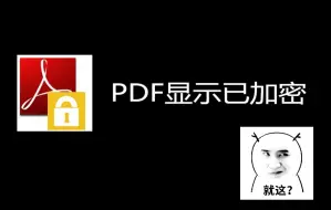 Video herunterladen: pdf显示已加密怎么办，一招轻松解决