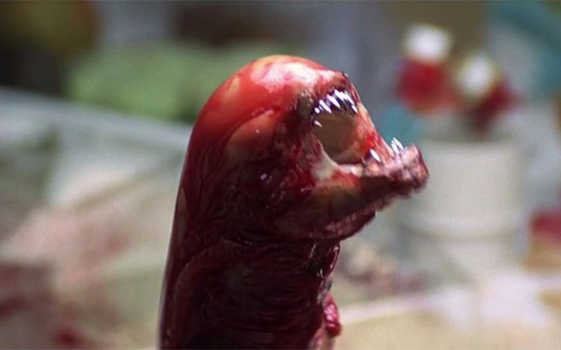 异形口述史(上集):那些年我们一起追杀过的男孩