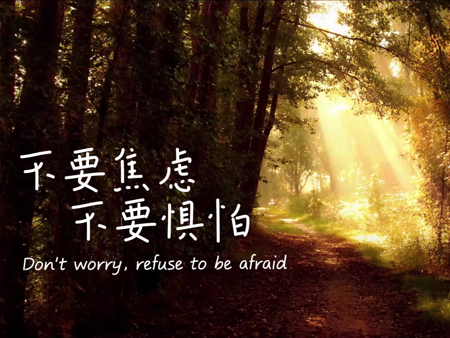 【1小时轻音乐】深度睡眠 助眠音乐 放松心情 等候 减压